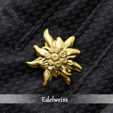 German mountain edelweiss - german,