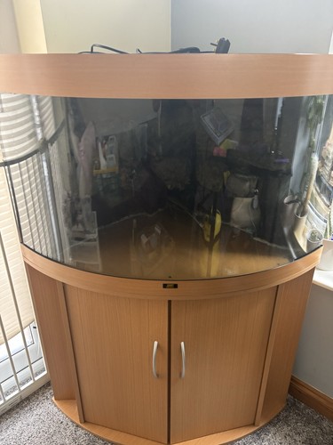 Juwel trigon 190 corner fish - juwel,