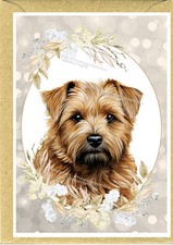 Norfolk Terrier Dog A6 (4" x