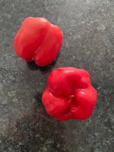 Red bell pepper organic - pepper,,