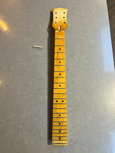 Warmoth style electric - lp,