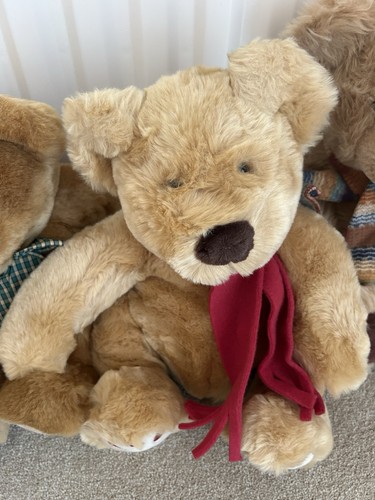 Teddy bear collectible - teddy,