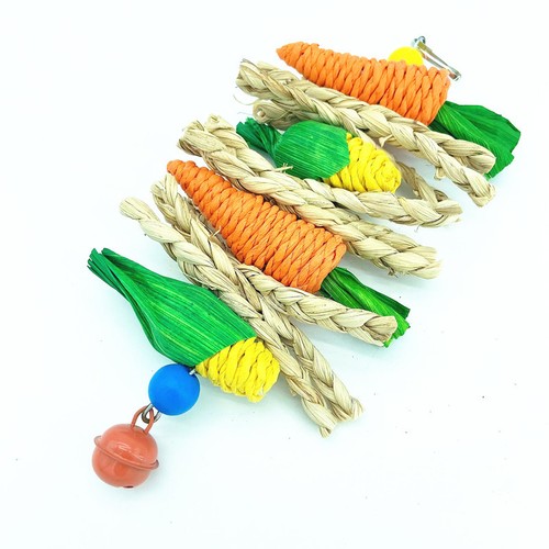 Parrot chew grind teeth - parrot,