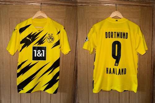 Borussia dortmund haaland - borussia,