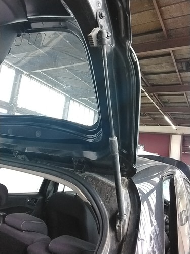 Boot tailgate support strut - support,