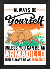 Armadillo Gift Framed Wall Art