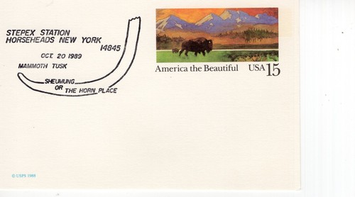 Mammoth tusk horseheads - , horseheads,