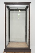 1910s Antique English Museum