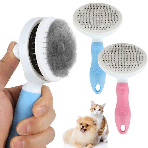 Pet dog cat hair brush - pet,