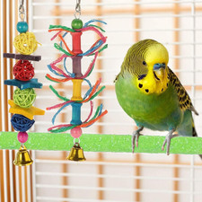 5 Pack Parrot Budgie Perch