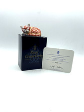 Royal Crown Derby Sleeping