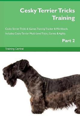 Cesky terrier tricks - cesky,
