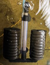 30 gallon Seeded dual Sponge Filter 4+week cycle Plus Random Ramshorn Snail