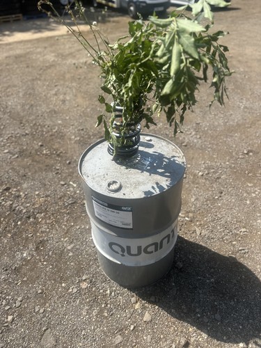 Barrel oil drum empty - barrel/,