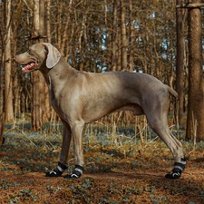 4Pcs Anti Slip Dog Socks Outdoor Dog Boots Shoes Waterproof Paw Protector UK