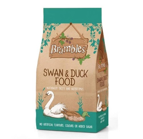 Brambles floating swan duck - swan,