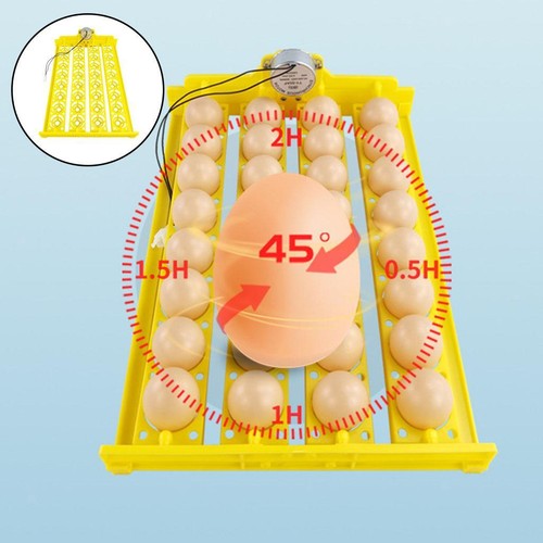 Egg incubator tray automatic - incubator,