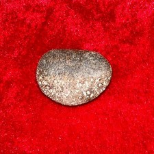 Dinosaur Fossil Bone Fragment