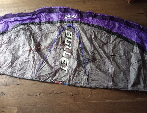 Flexi foil power kite - flexi, 2.5