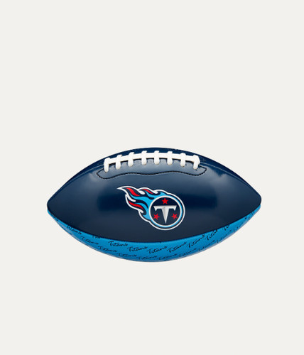 American footballs wilson - footballs,