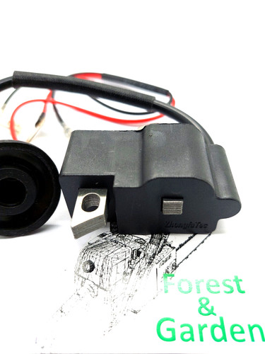 Ignition coil module for - ignition,