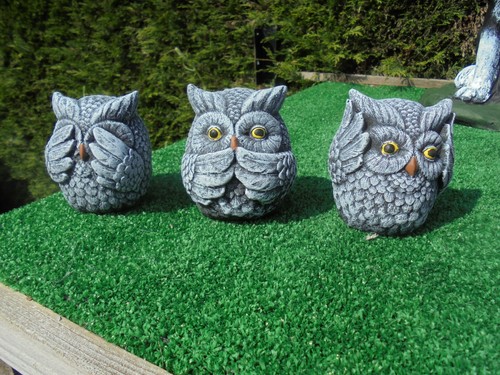 Three wise little owls - wise,