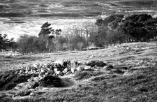 Photo 6x4 Remains of hut
