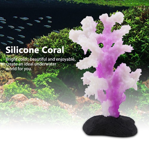 Purple glow coral - glow, anemone