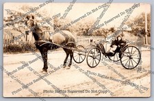 Antique RPPC Phaeton Horse