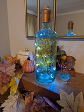 Pretty Silent Pool Light Up Bottle