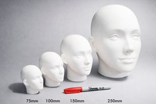 Female Human Head Bust – Art