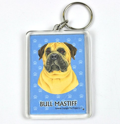 Sweet dogs usa - keychain,