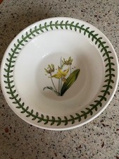 PORTMEIRION Botanic Garden