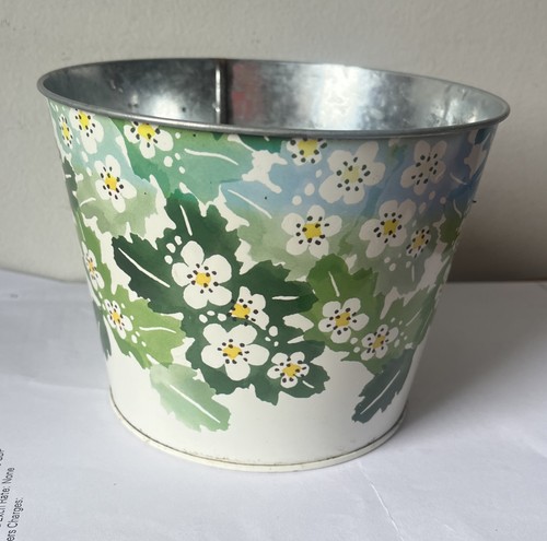 Emma bridgewater metal plant - emma,