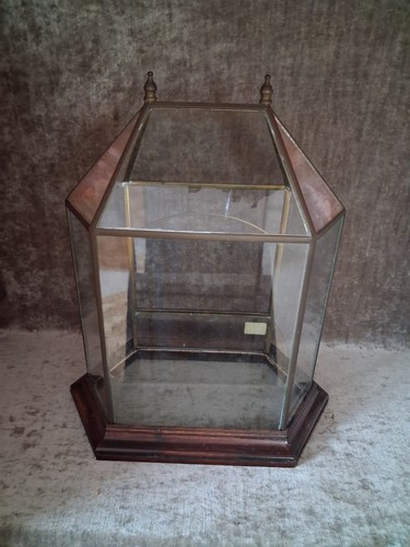 Handcrafted showcase terrarium - handcrafted,
