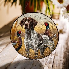 German Shorthaired Pointer
