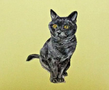 Greetings Card - British Blue