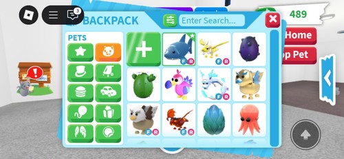 Shark pet from adopt - pet,