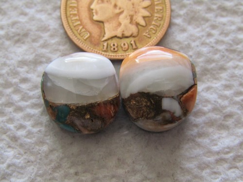 Spiny oyster shell purple - spiny,