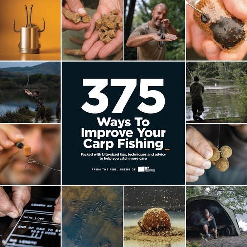 375 ways improve your carp - 375,