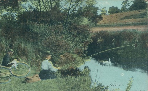 Cobham shurey delittle fenwick - cobham,