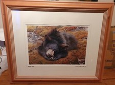 Carl Brenders - Bearly Asleep - Limited Edition Framed Print - No.279 with Cert