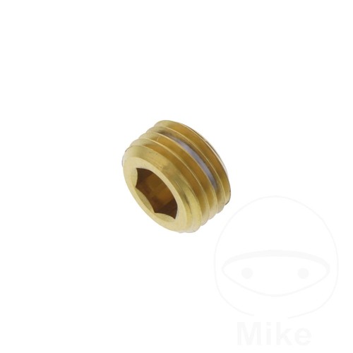 Plug caliper pin lsspingrubg - plug,