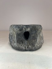 Vintage Whale Vertebrae 
