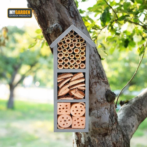 Wooden insect house - insect, wall