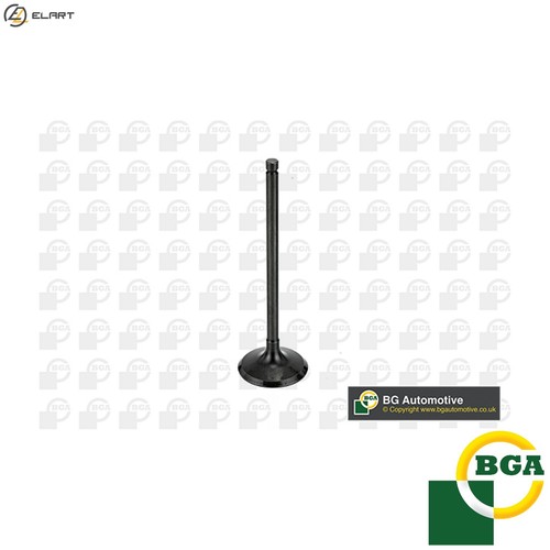 Intake valve v998745 for - 4x,