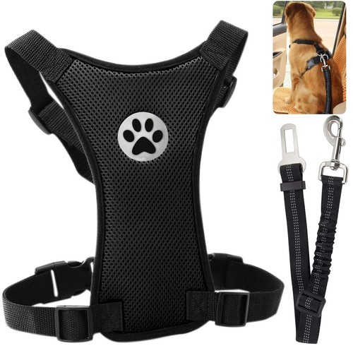 Dog car harness - car, seatbelt