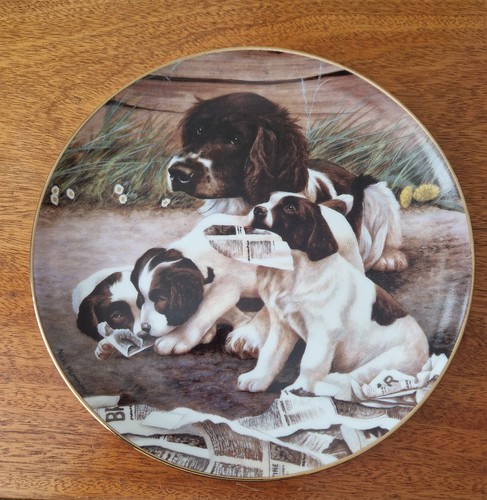Morning news collectors plate - morning,