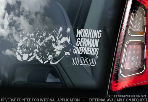 German shepherds car sticker - sticker,