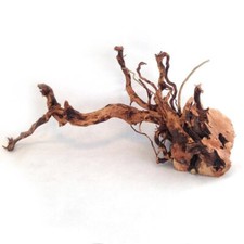 Spiderwood Branches Aquarium